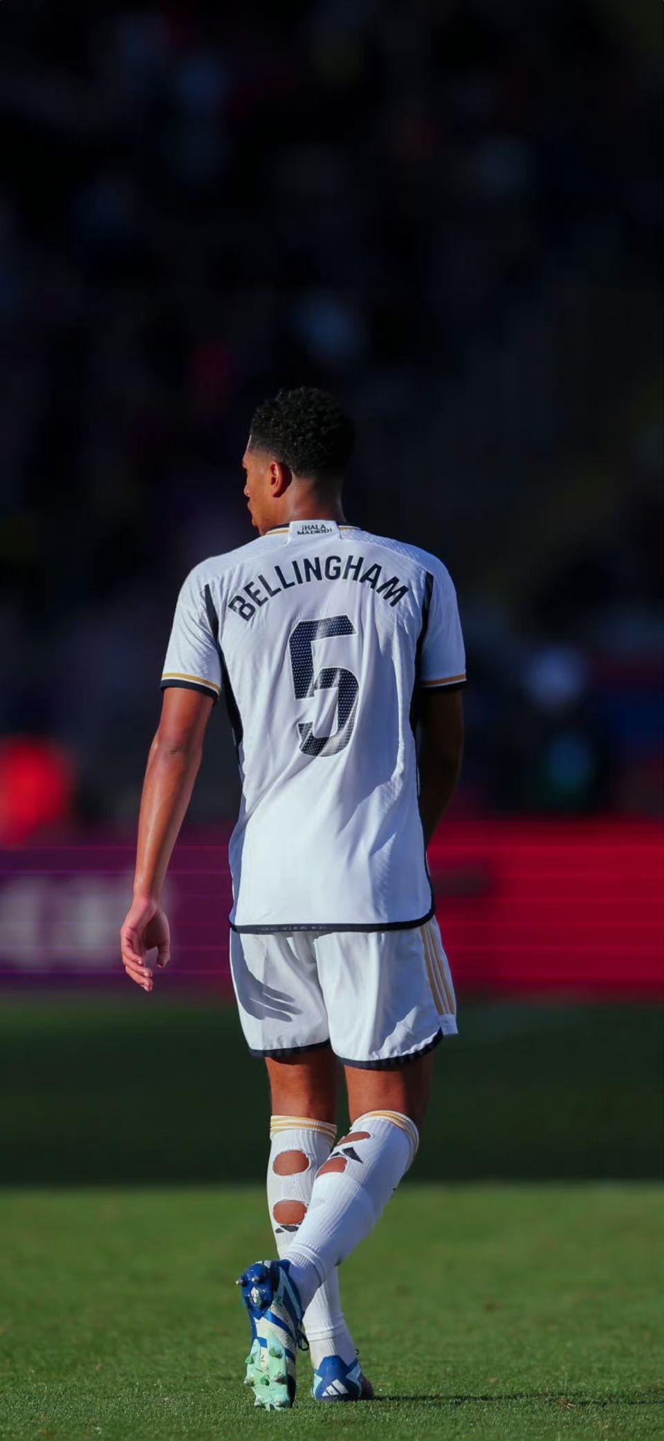 本轮他们在 本轮他们在